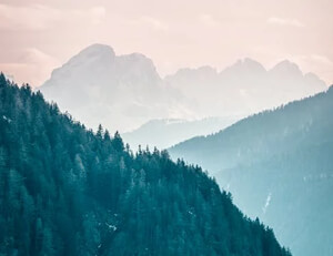 2026九游娱乐官网入口马德里竞技主场比赛中连胜对手保持优势