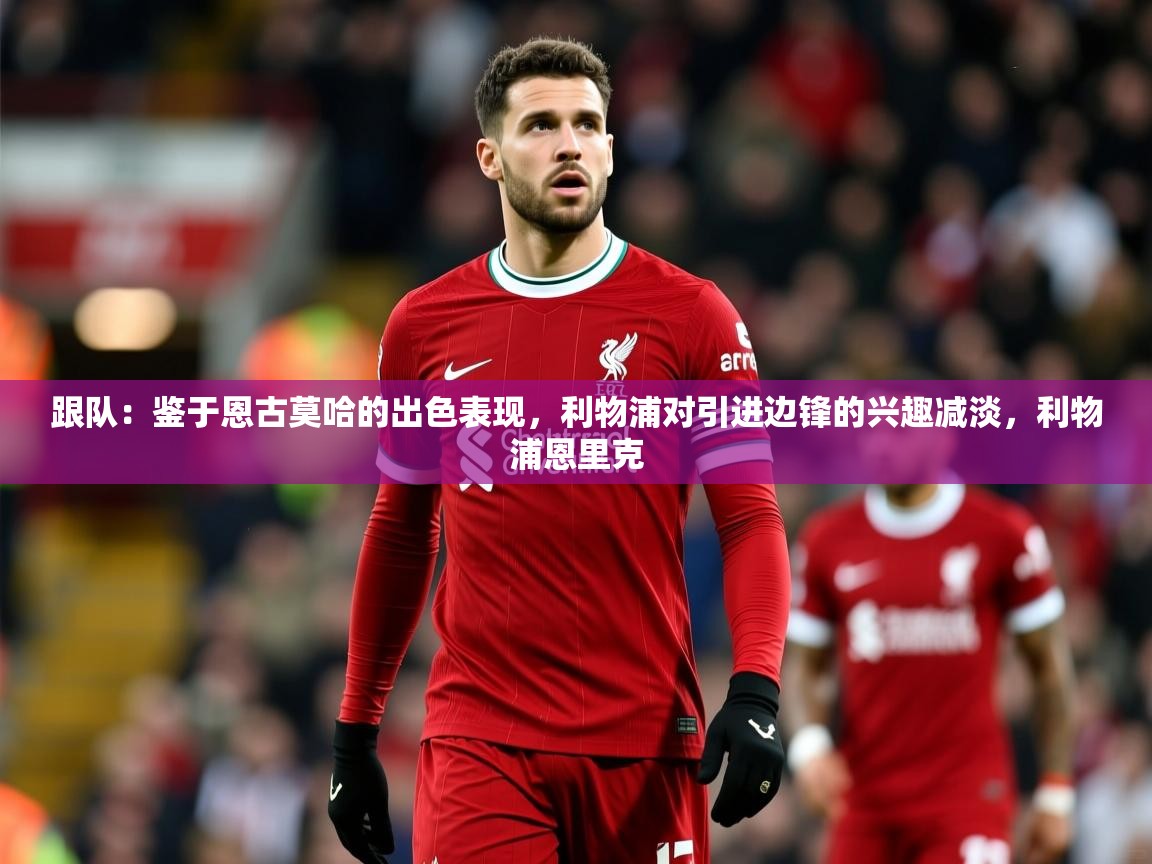 2025九游娱乐app赔率高跟队：鉴于恩古莫哈的出色表现，利物浦对引进边锋的兴趣减淡，利物浦恩里克  第1张