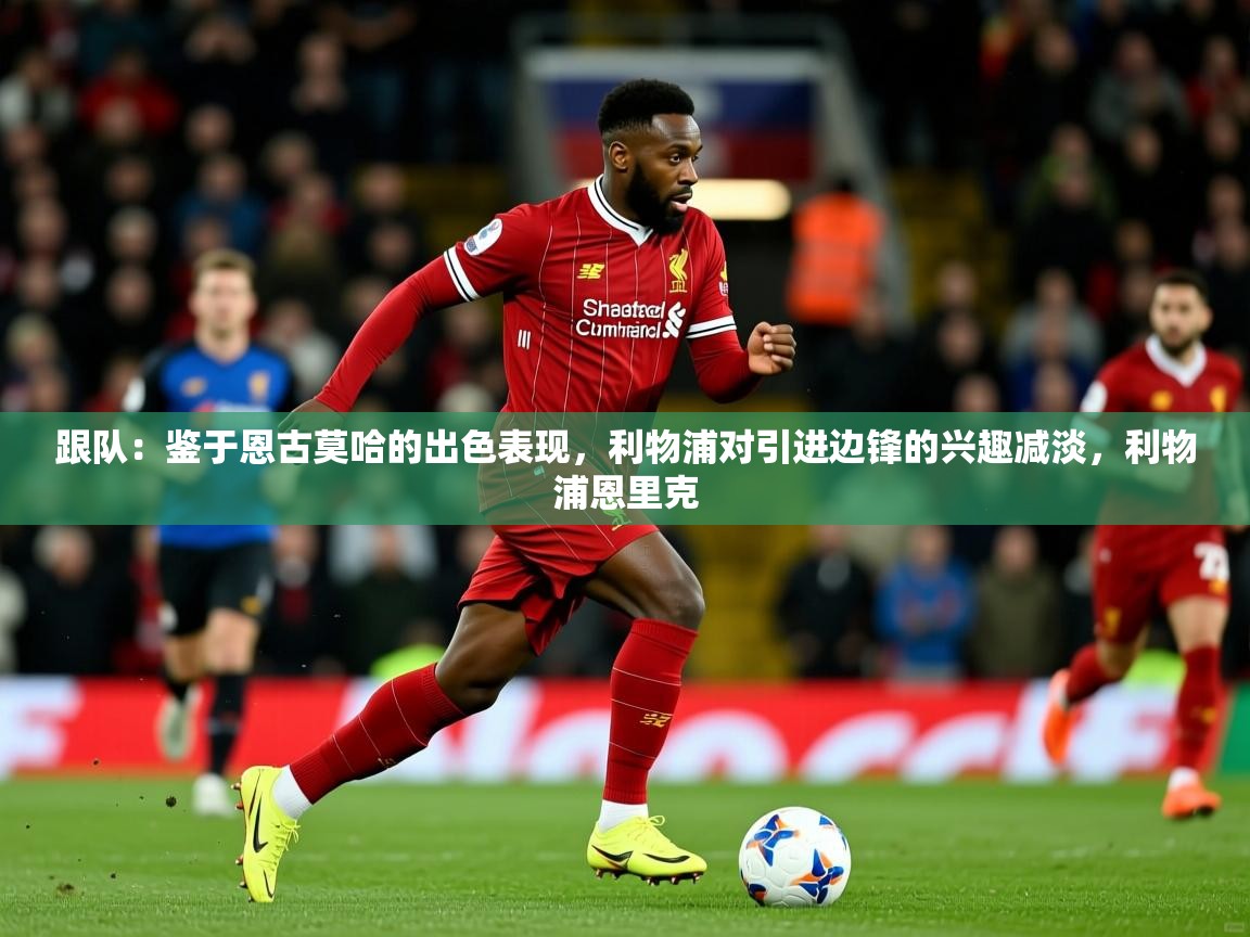 2025九游娱乐app赔率高跟队：鉴于恩古莫哈的出色表现，利物浦对引进边锋的兴趣减淡，利物浦恩里克  第2张