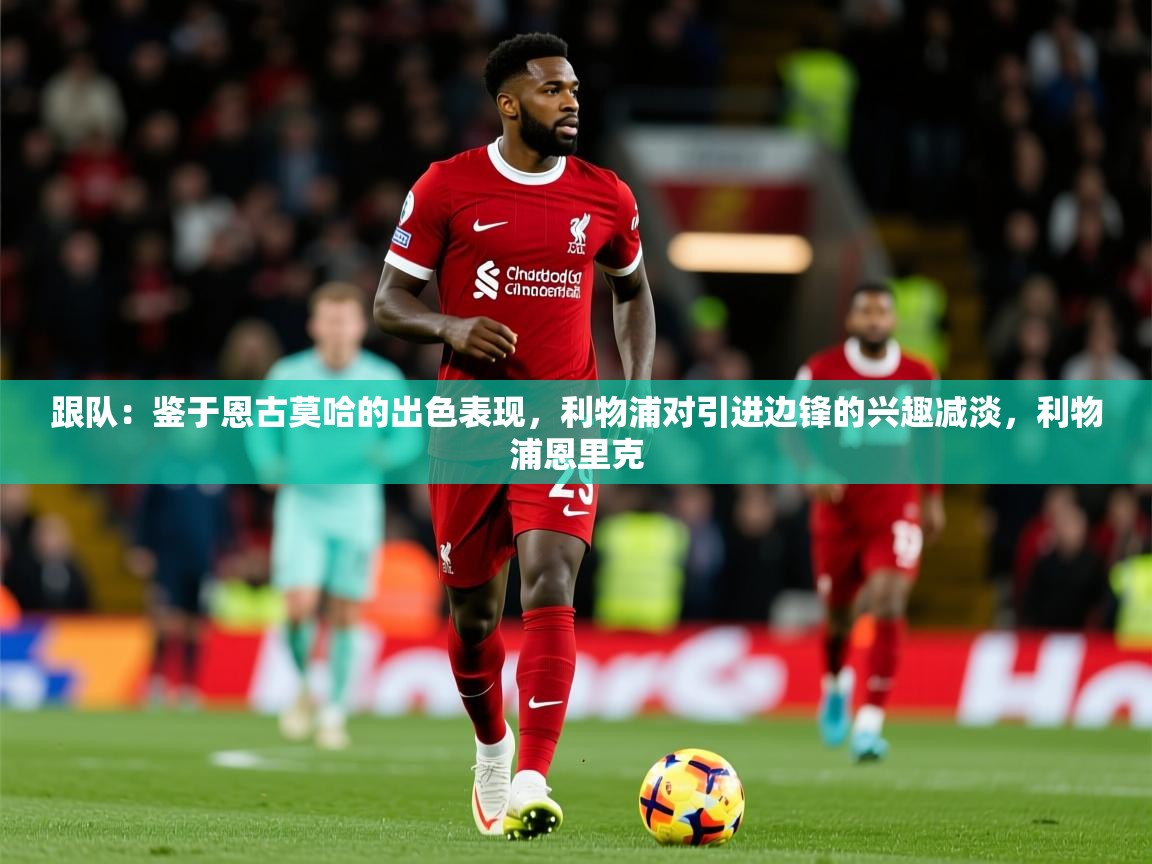 2025九游娱乐app赔率高跟队：鉴于恩古莫哈的出色表现，利物浦对引进边锋的兴趣减淡，利物浦恩里克  第3张