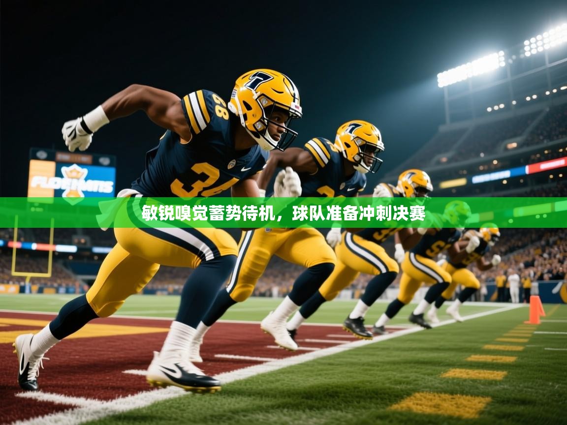 2026九游娱乐app赞助了不莱梅敏锐嗅觉蓄势待机，球队准备冲刺决赛  第2张